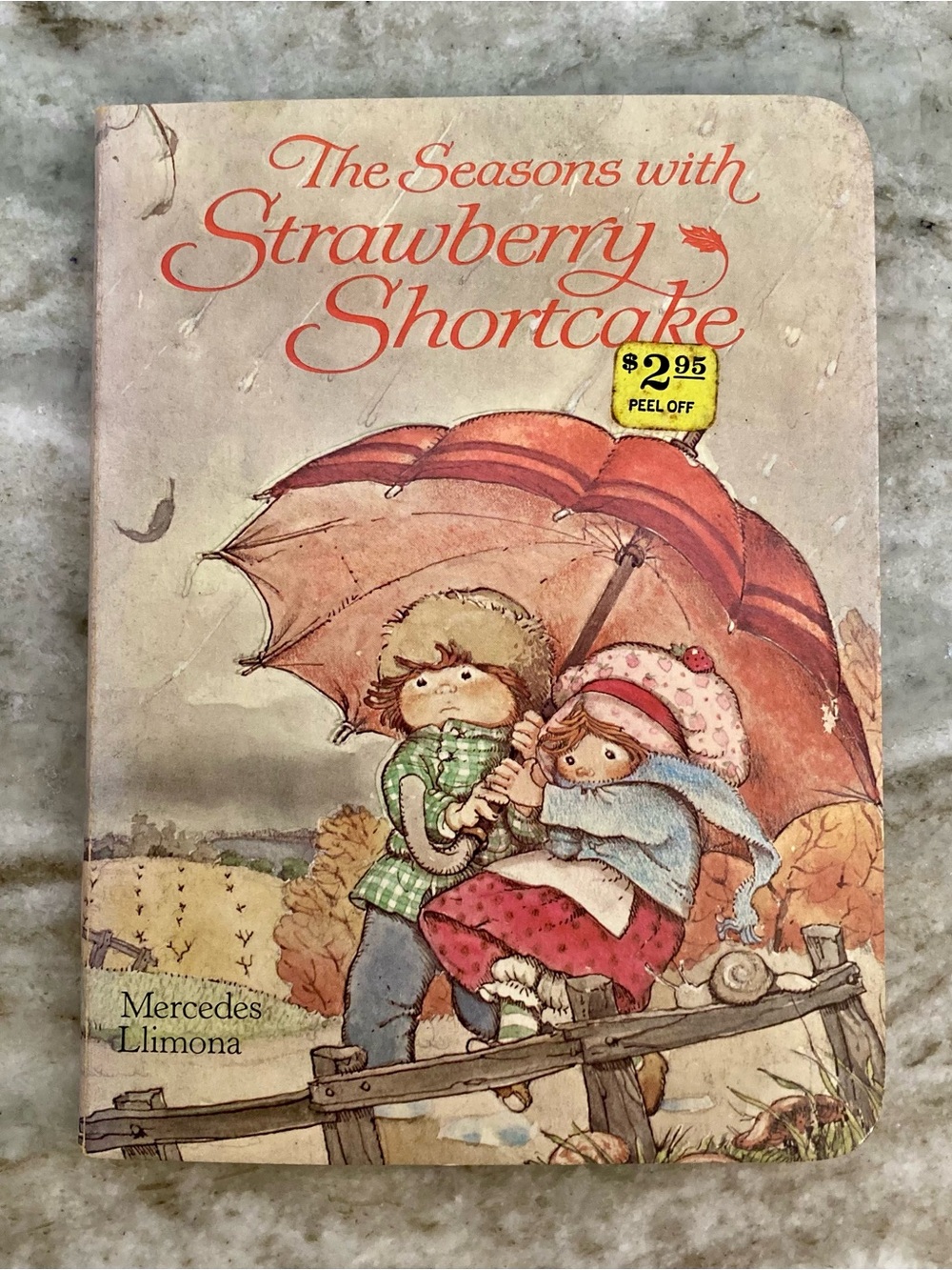 The Seasons with Strawberry Shortcake Hard Cover Book 1980 RARE